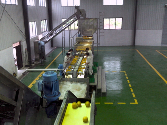 Commercial Orange Juicer Machine Orange Juice Production Line Orange Peeler Machine Peeling