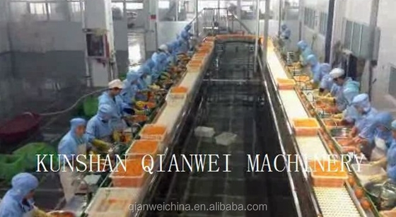 Commercial Orange Juicer Machine Orange Juice Production Line Orange Peeler Machine Peeling