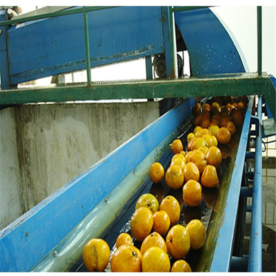 Electric Orange Juicer Machine Orange Juice Squeezer Fruit Juice Making Machine Production Line