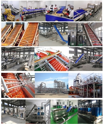 Complete Tomato Processing Plant Small Scale Ketchup Processing Line Tomato Sauce Machine for Tomato Paste