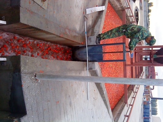 Tomato Sauce Ketchup Making Machine 220L Aseptic Filling Machines for Tomato Paste Processing Line
