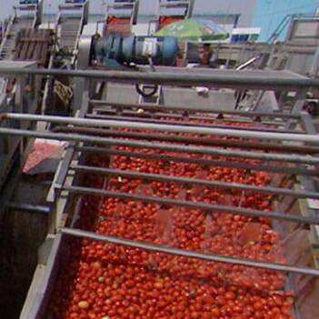 Factory Price Tinned Canned Tomato Paste Jam Ketchup Production Plant Processing Machine