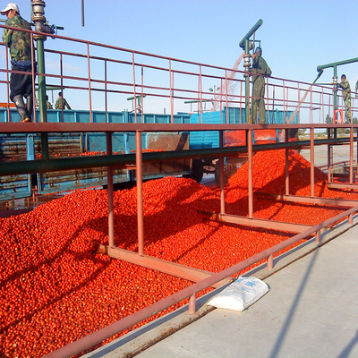 Concenrated Tomato Paste Processing Plant Concentrated Tomato Ketchup Production Line With Turn-Key Solution