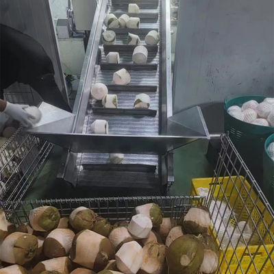 Machine Coconut Processing Coconut Slicer Grinding Machine Coconut Peeler Shelling Machine