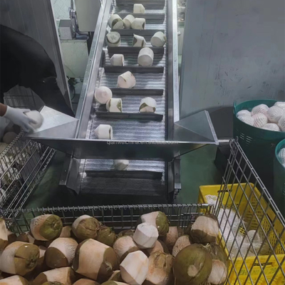 Coconut Oil Expeller Extracting Processing Machine Coconut Cutting Water Extractor Machine