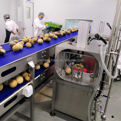 Coconut Oil Expeller Extracting Processing Machine Coconut Cutting Water Extractor Machine