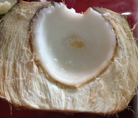 Coconut Meat Milk Screw Press Extractor Juicer Machine Automatic Production Line