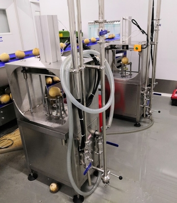 Coconut Meat Milk Screw Press Extractor Juicer Machine Automatic Production Line