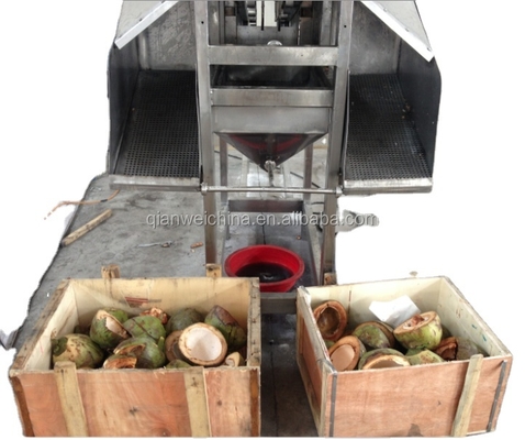 Tender Coconut Water Juice Processing Plant Making Production Equipment Line