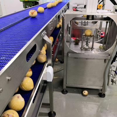 Industrial Large Capacity Mature Young Coconut Milk Water Oil Processing Plant Production Line Machine