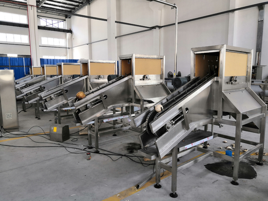 Industrial Large Capacity Mature Young Coconut Milk Water Oil Processing Plant Production Line Machine