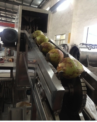 Complete Automatic Virgin Coconut Oil Vco Production Line  Processing Plant Making Machinery
