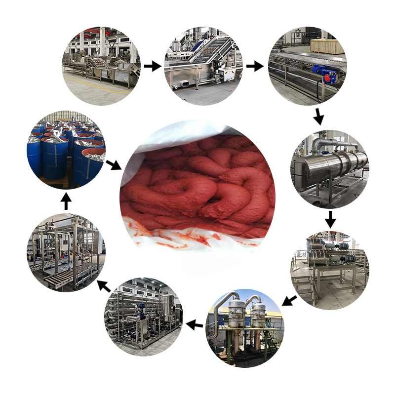 Tomato Sauce Ketchup Making Machine 220L Aseptic Filling Machines for Tomato Paste Processing Line