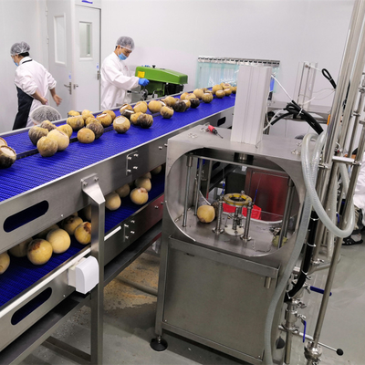 Tender Coconut Water Juice Processing Plant Making Production Equipment Line